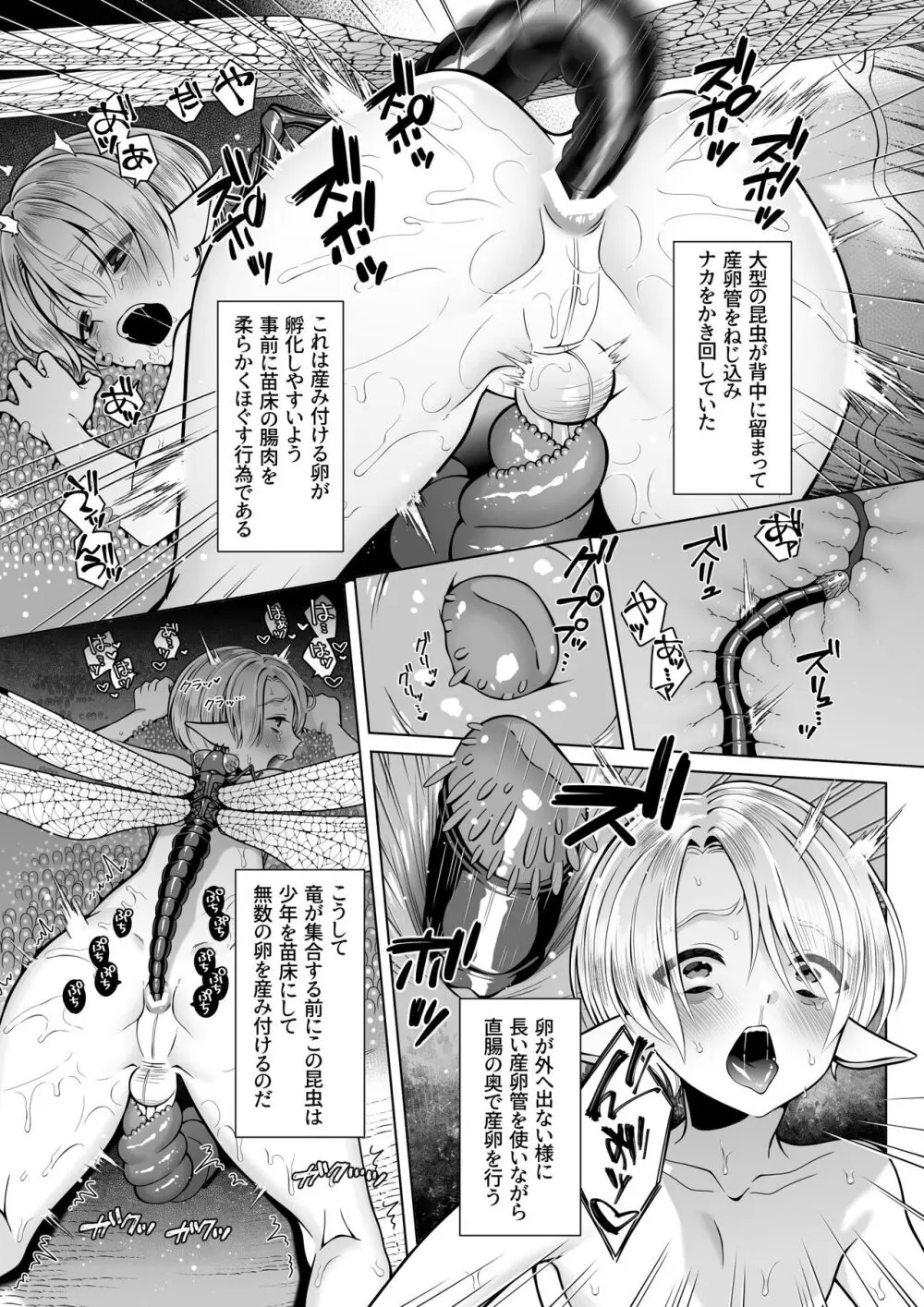 双子エルフの受難・後編 Page.22