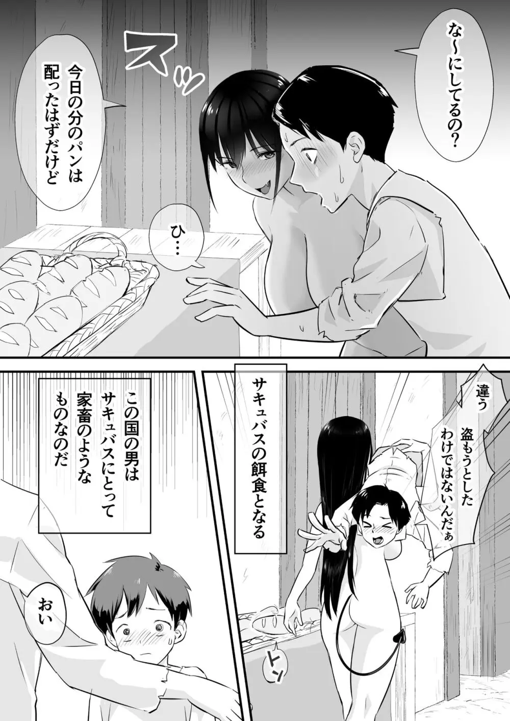 サキュバスに支配された国 Page.4