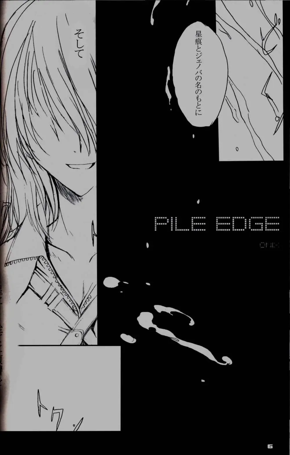 PILEEDGE HARD SHAFT Page.5