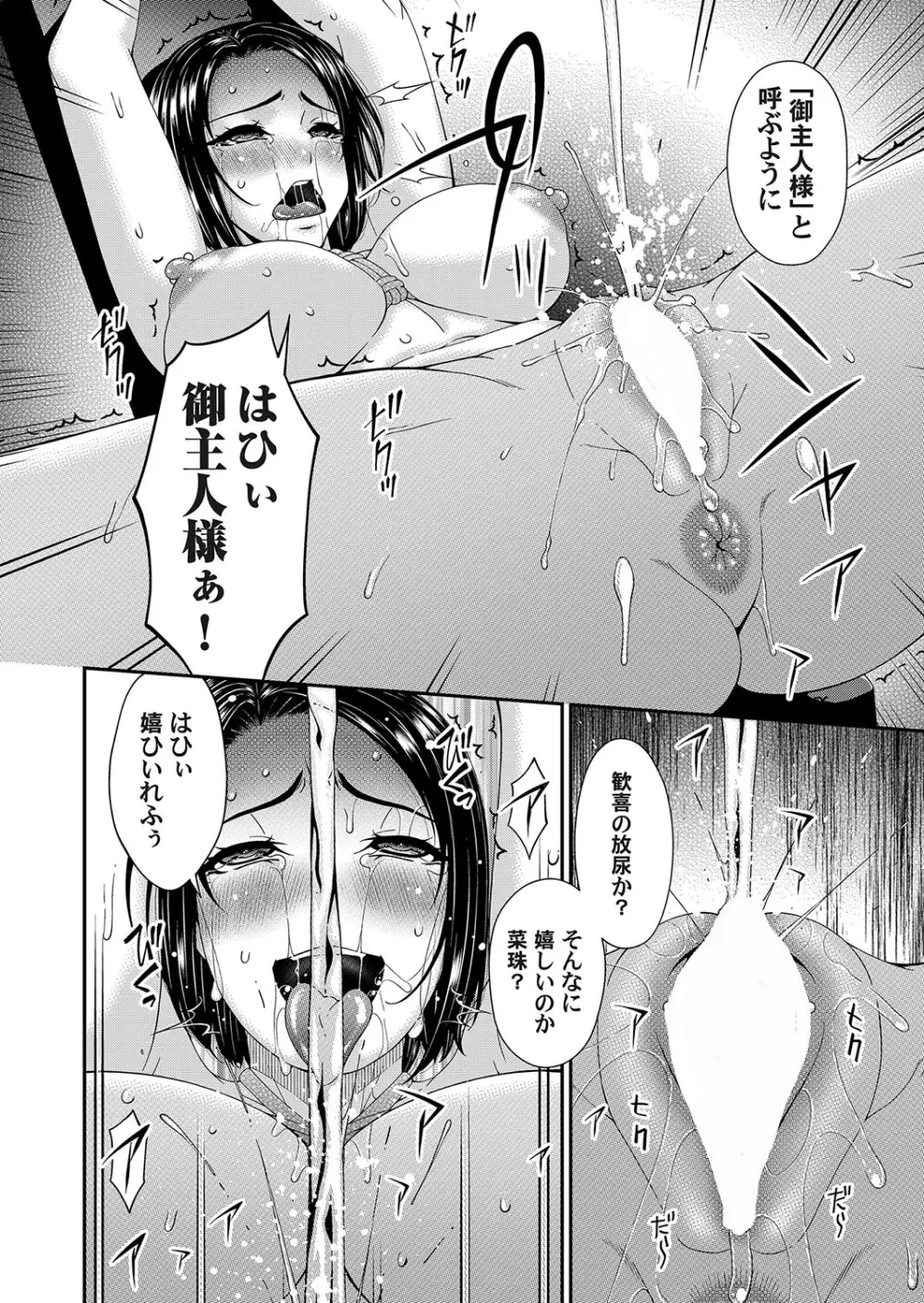 コミックマグナム Vol.181 Page.11