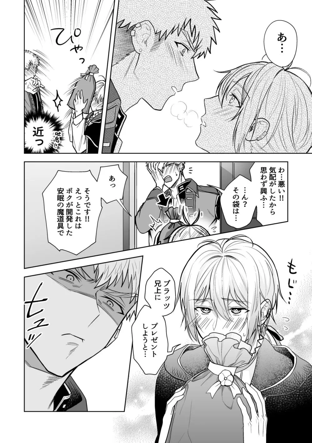 婚約阻止!…から始まる兄と弟の暴走 Page.19