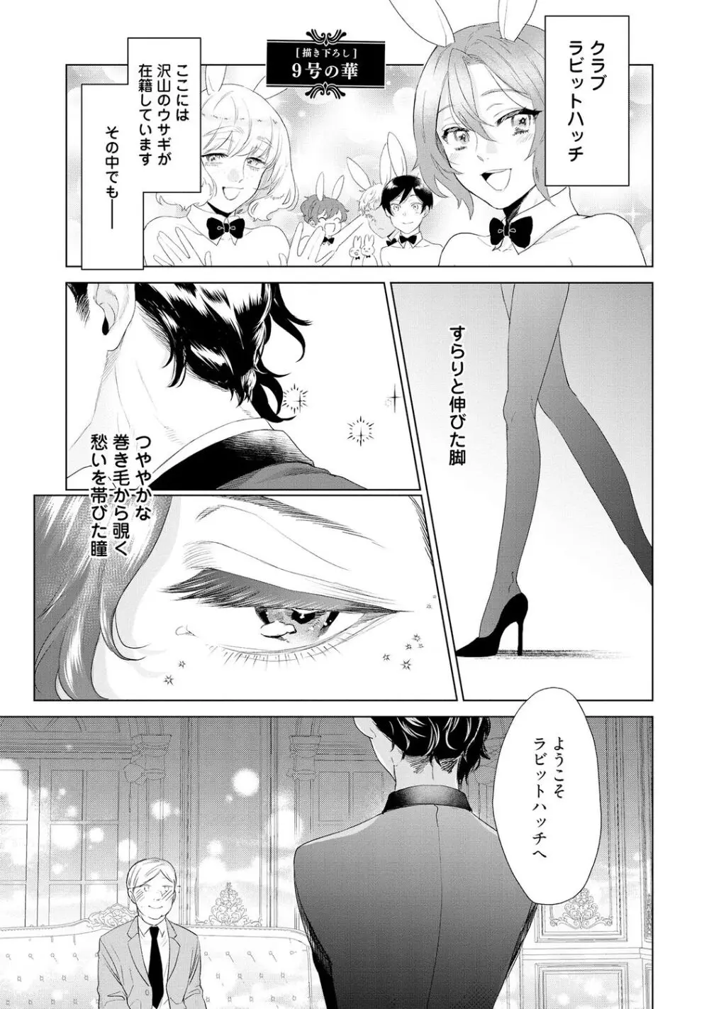 ラビットハッチへようこそ 【電子限定特典付き】（上） Page.233