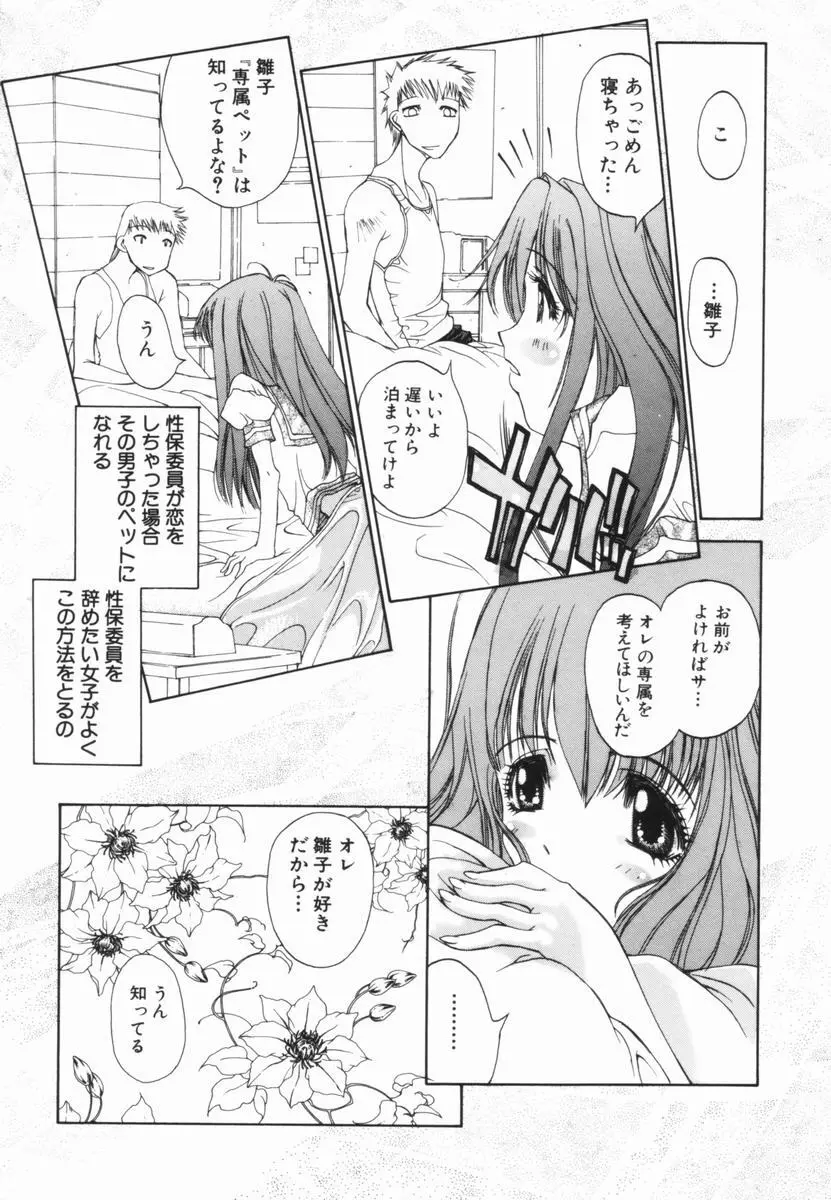 フリージア Page.96