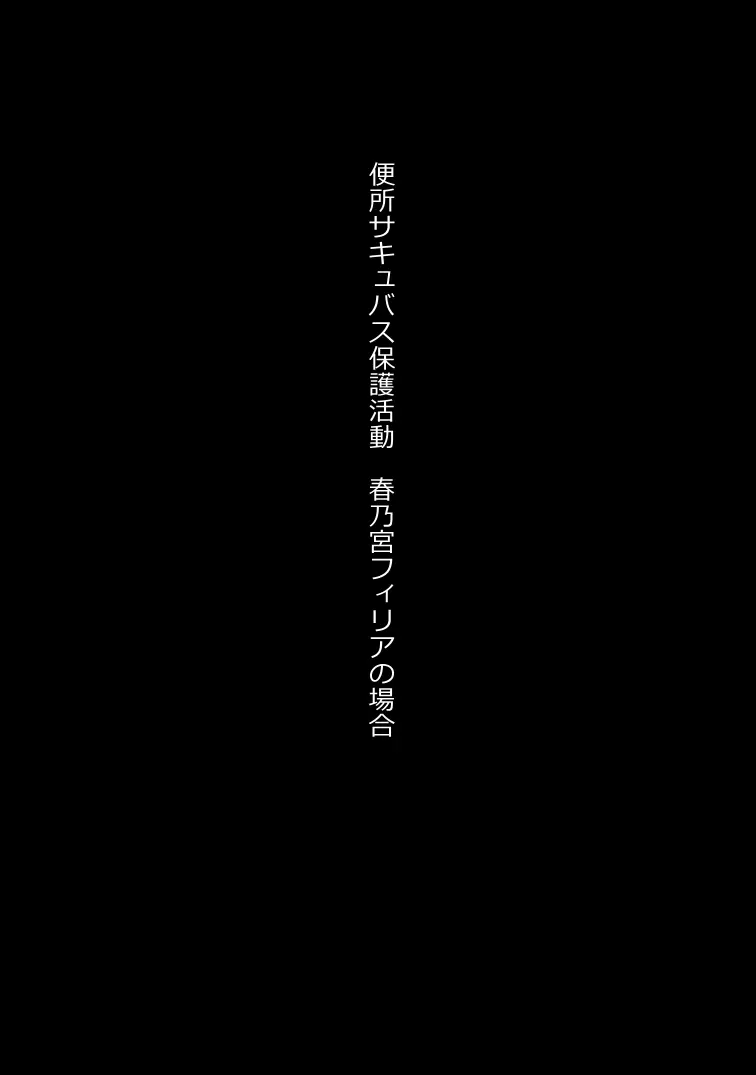 無責任に子種汁をどぷどぷ流し込まれる便所サキュバスに認定された少女達 Page.19