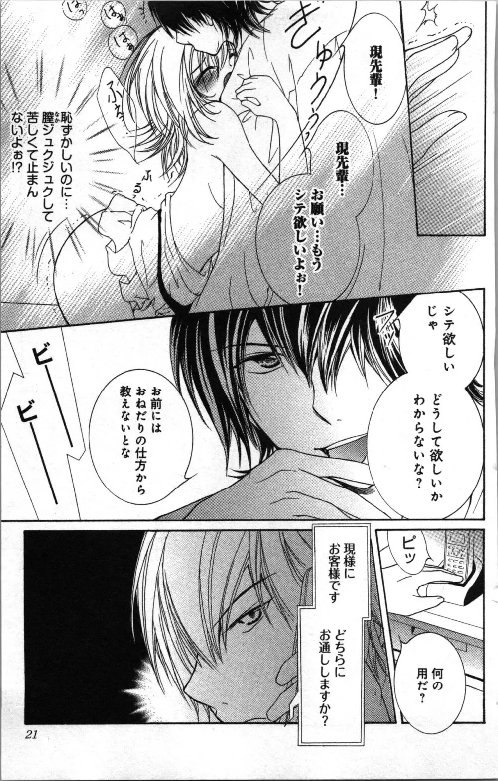 絶対命令いいなり玩具 II Page.21