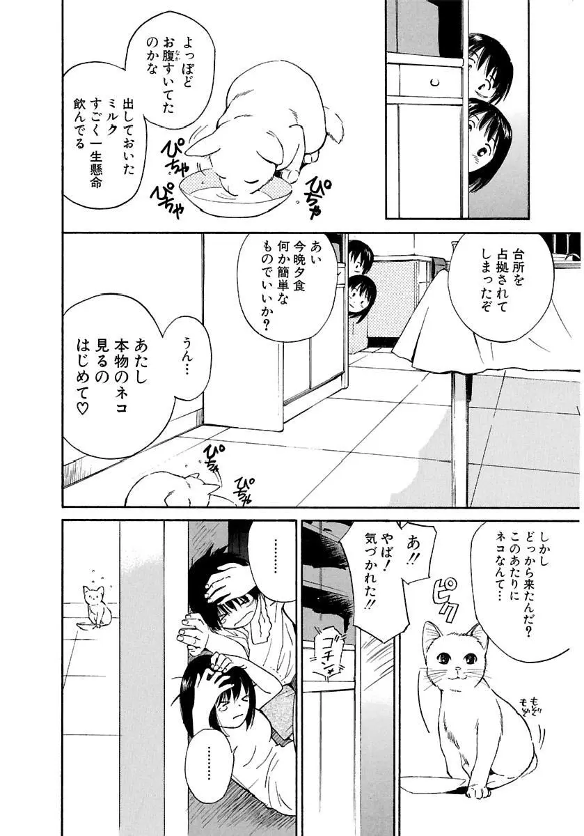 [田中ユタカ] 愛人 [AI-REN] 特別愛蔵版 下 [デジタル版] Page.19