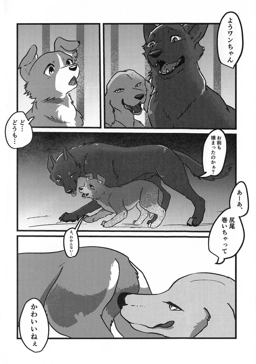 DOG.IN.CAGE コーンじゅういちばい Page.3