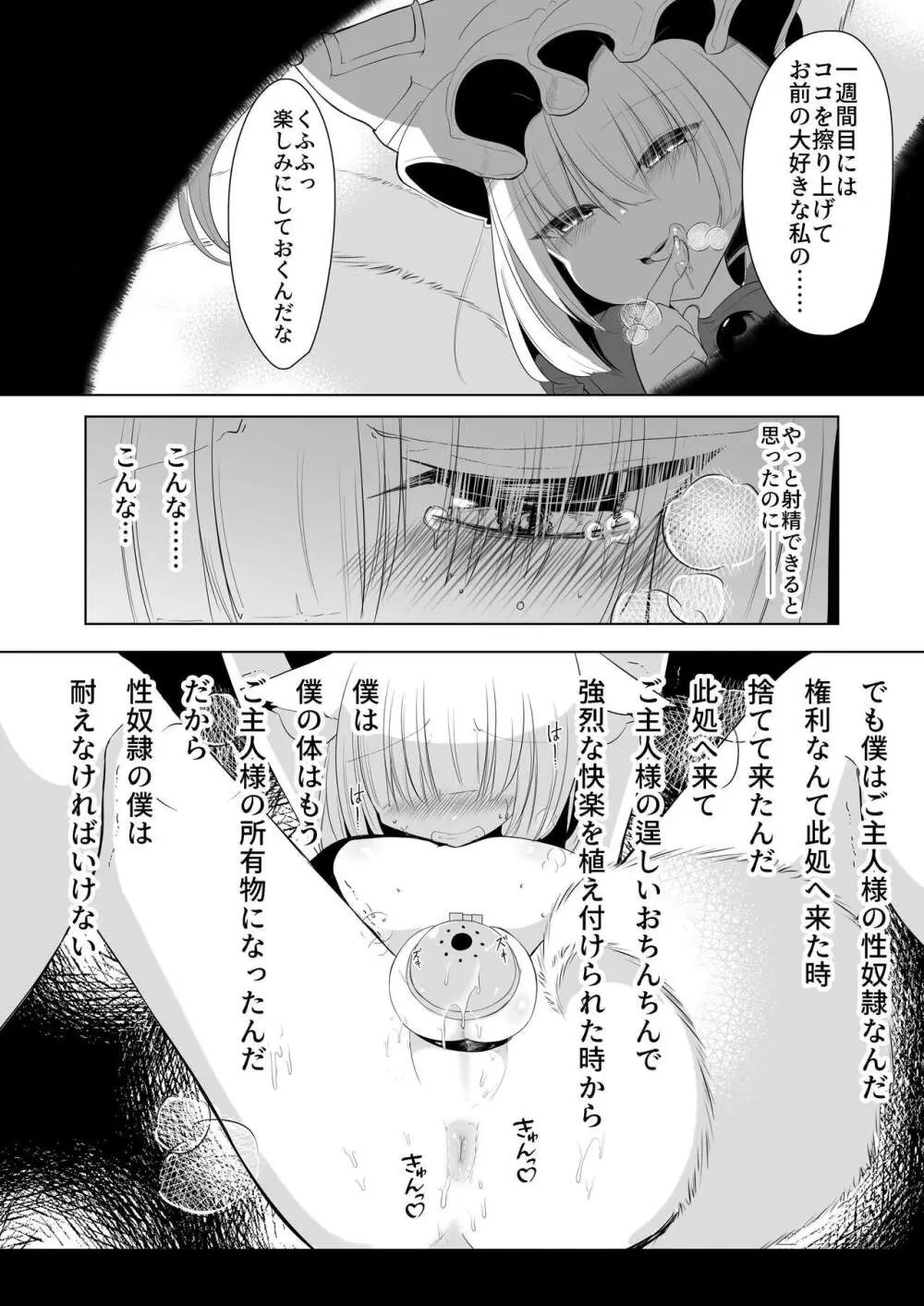 八雲藍による性奴○射精管理調教 子狐編 Page.13