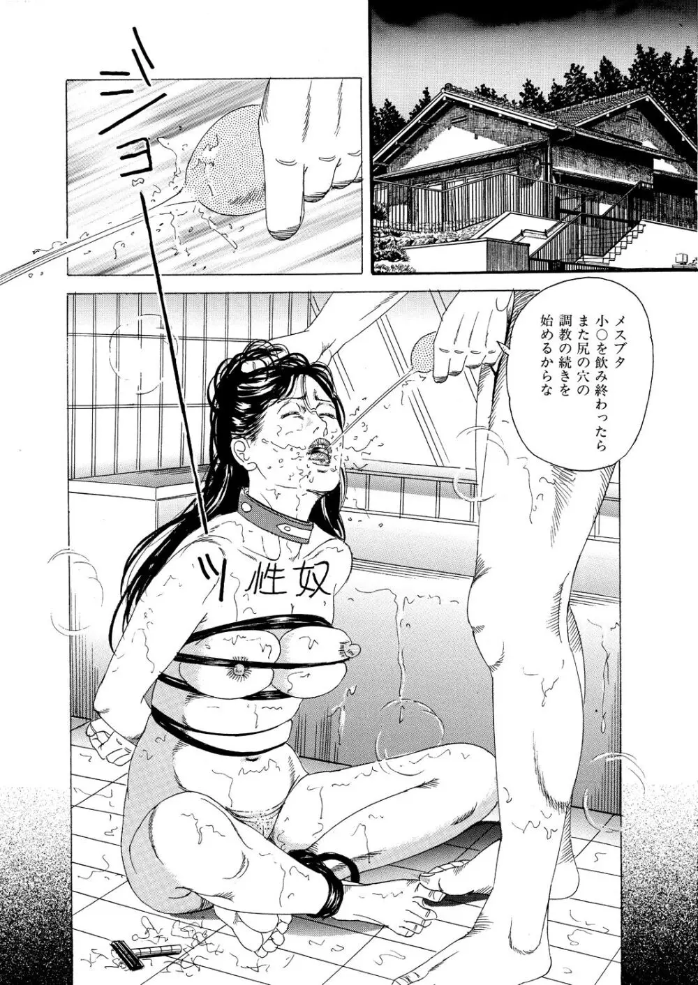 密膣の隷嬢 Page.22