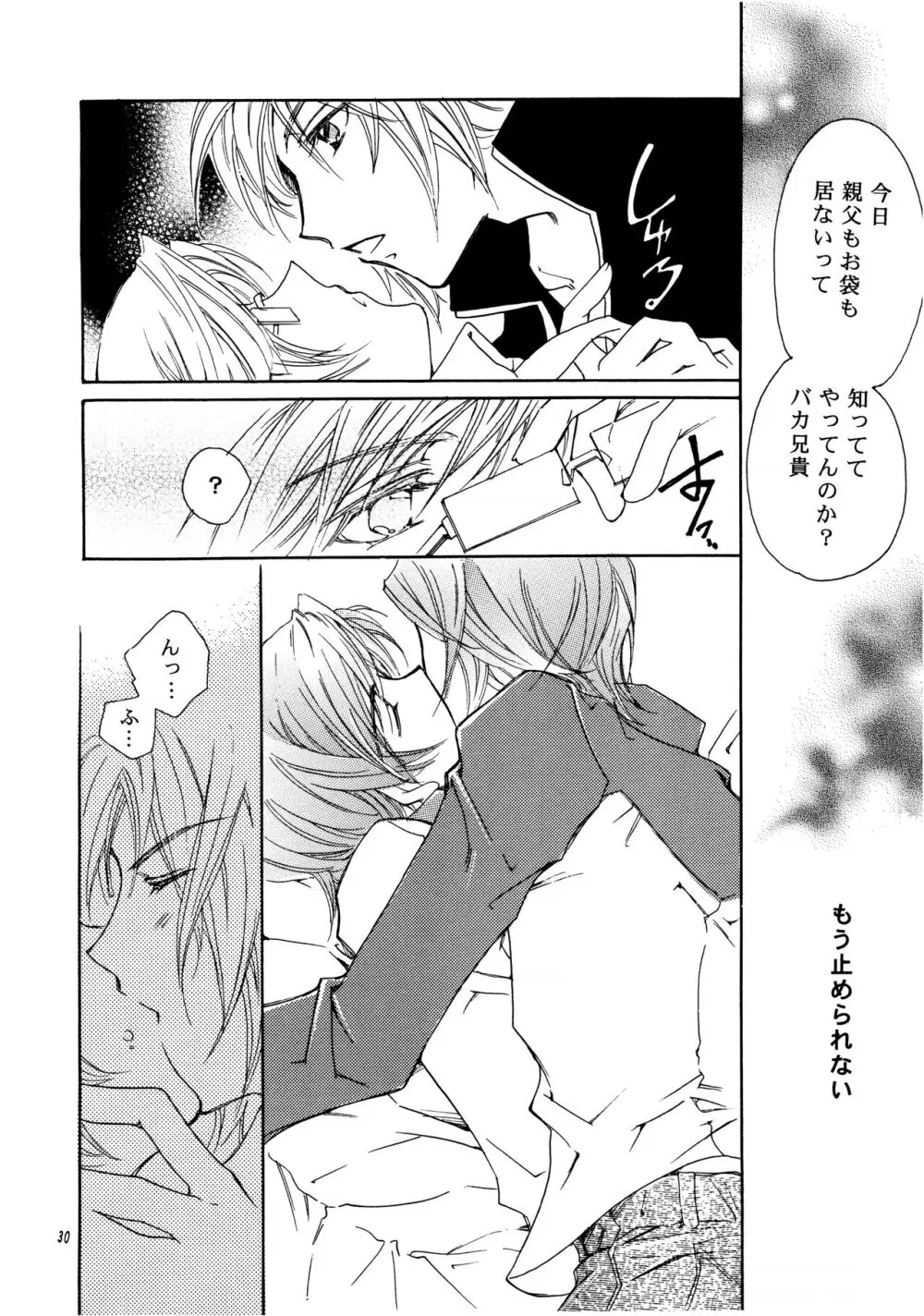 周防さんの家庭の事情 II Page.29