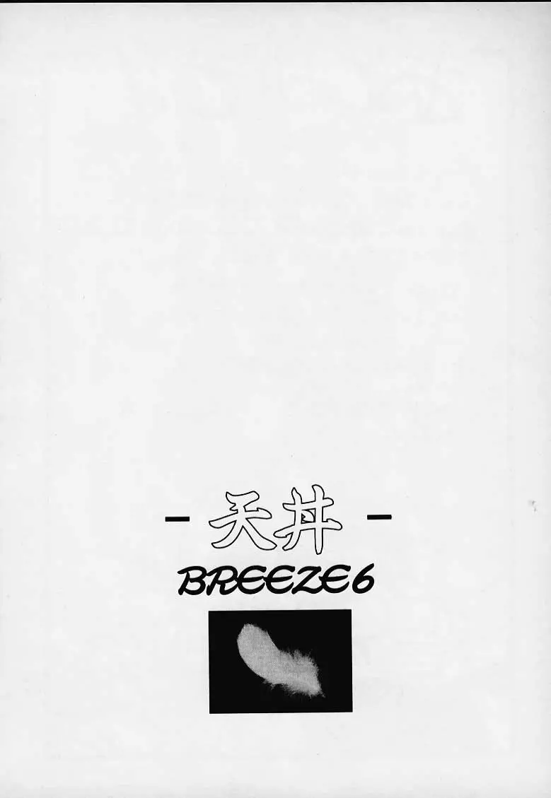 天丼 BREEZE6 Page.28