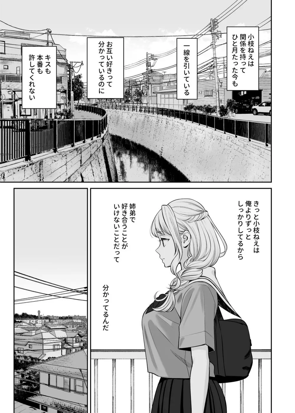 姉弟以外になれたなら Page.20