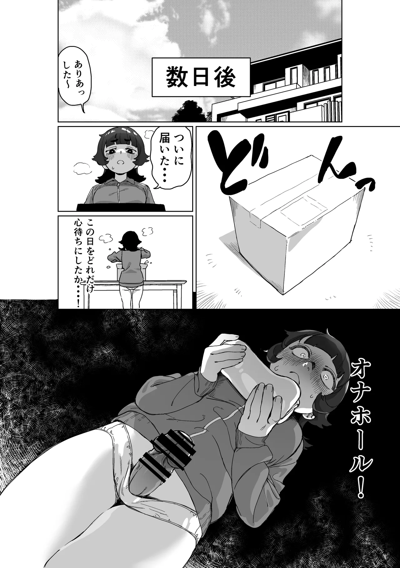 引きこもりの姉にちんちんが生えたら Page.11