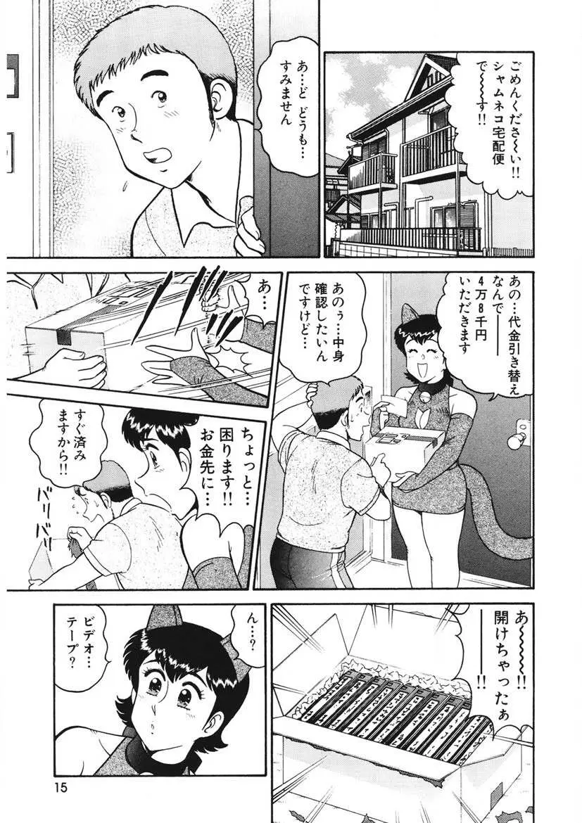 こちらシャムネコ宅配便 Page.16