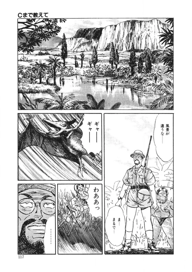 Cまで教えて Page.116