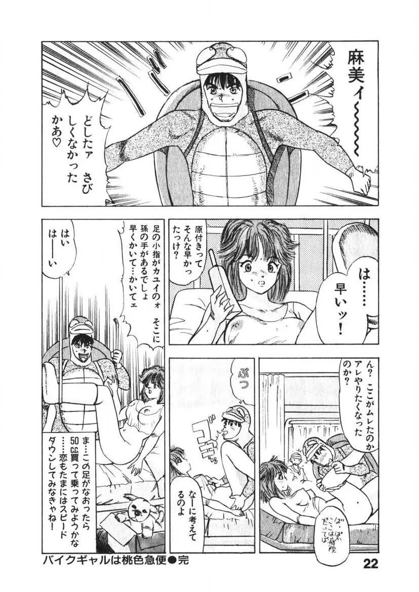 乙女のお願い 第3巻 Page.21