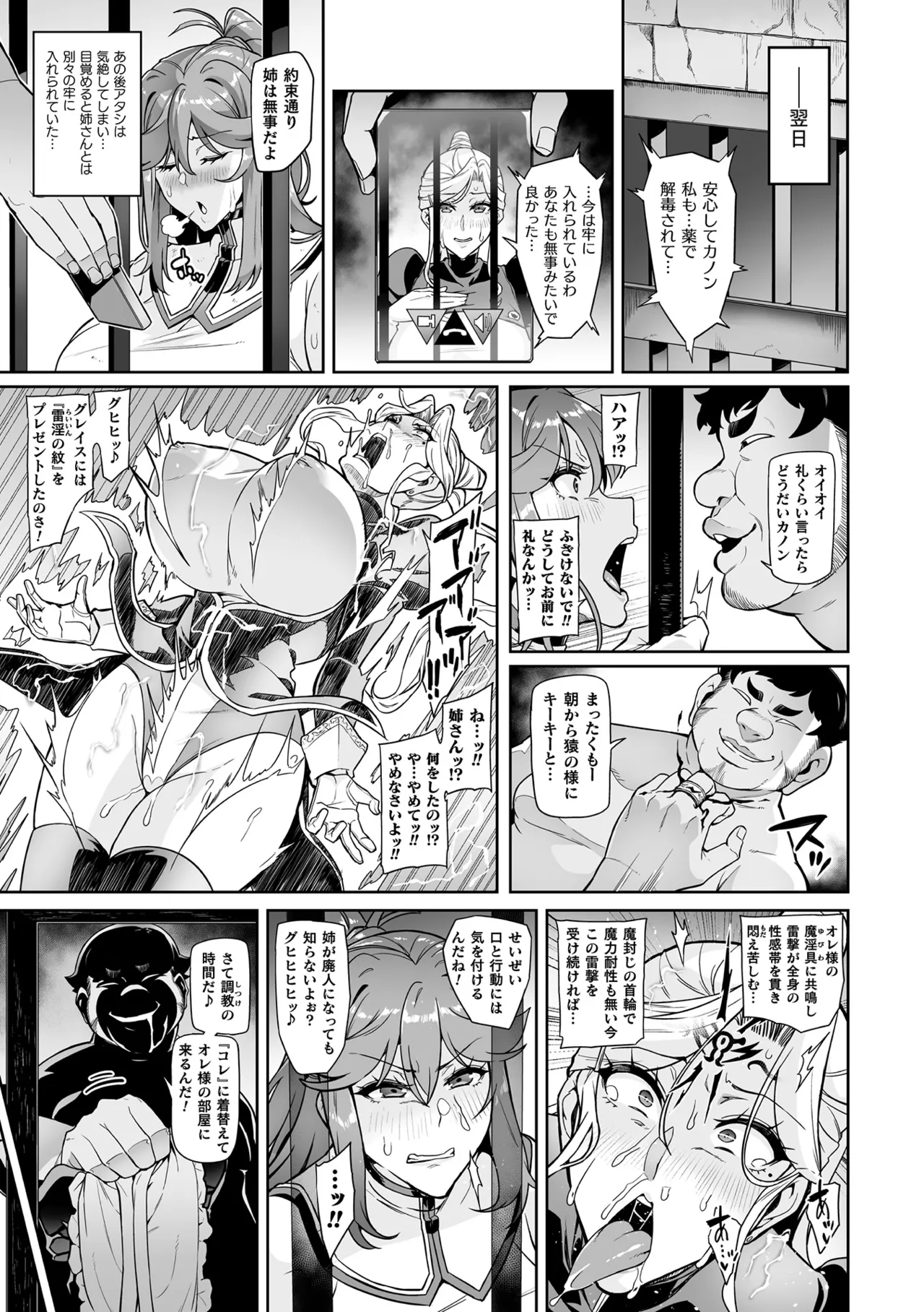 戦姫調教 ヴァルキリーテイマー Page.17