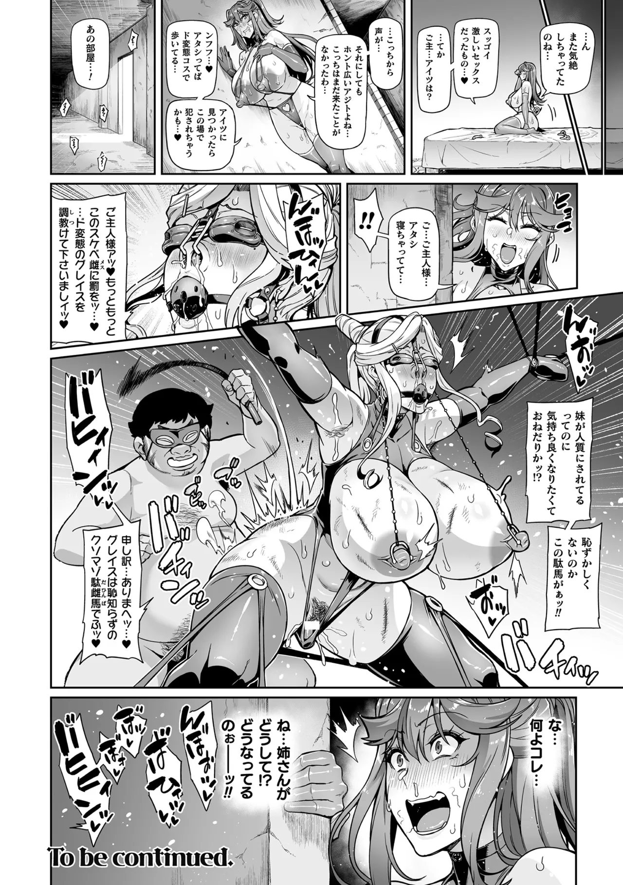 戦姫調教 ヴァルキリーテイマー Page.30