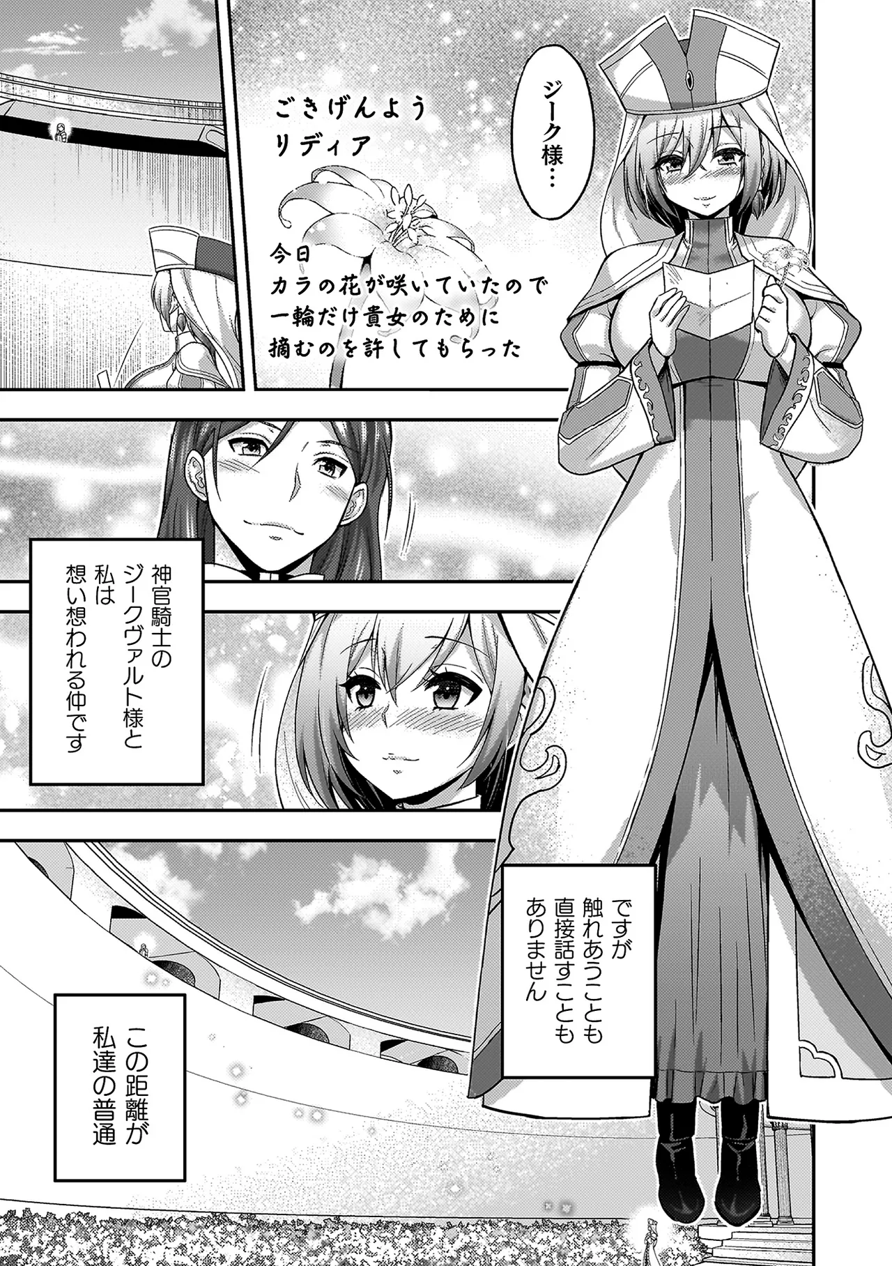 エローナ2 オークの淫紋に悶えし巫女の成れの果て Page.9