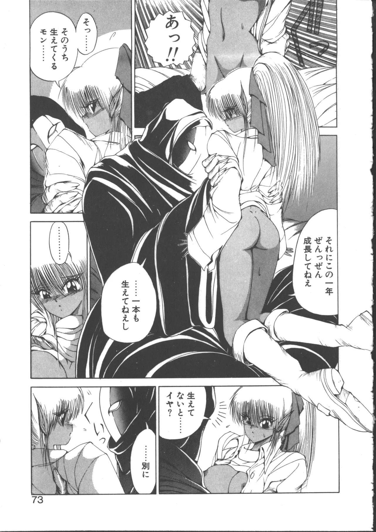 ダークウィルベル動乱編 Page.73