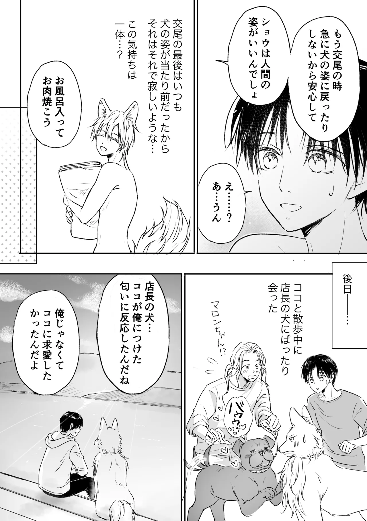 恋するモフモフ～上書きマーキング交尾編～ Page.27