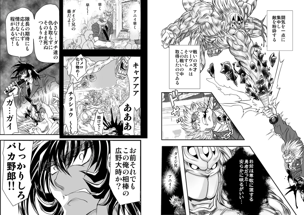 シャレーダーD09 Page.12