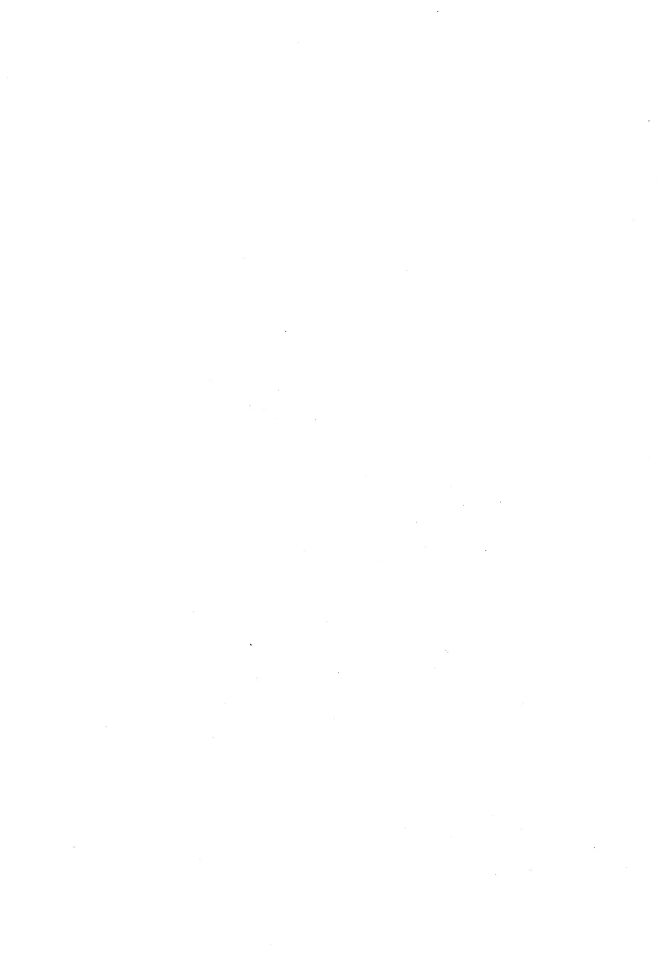 M.F.H.H. ’M N’ 増補版 Page.24