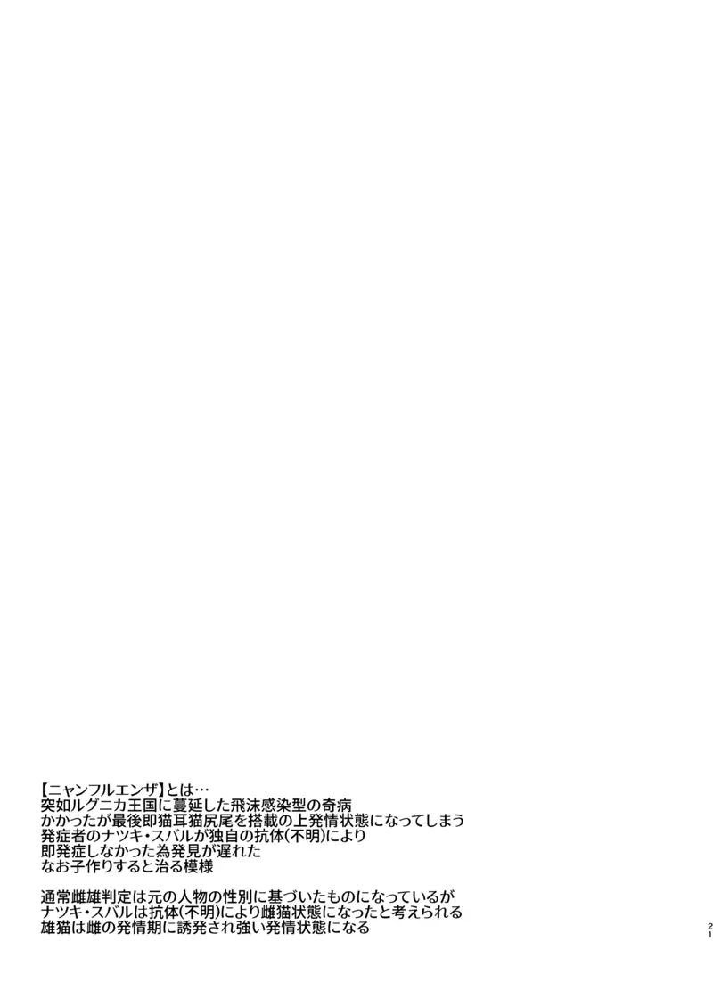 ニャンフルエンザに気をつけて！ Page.20
