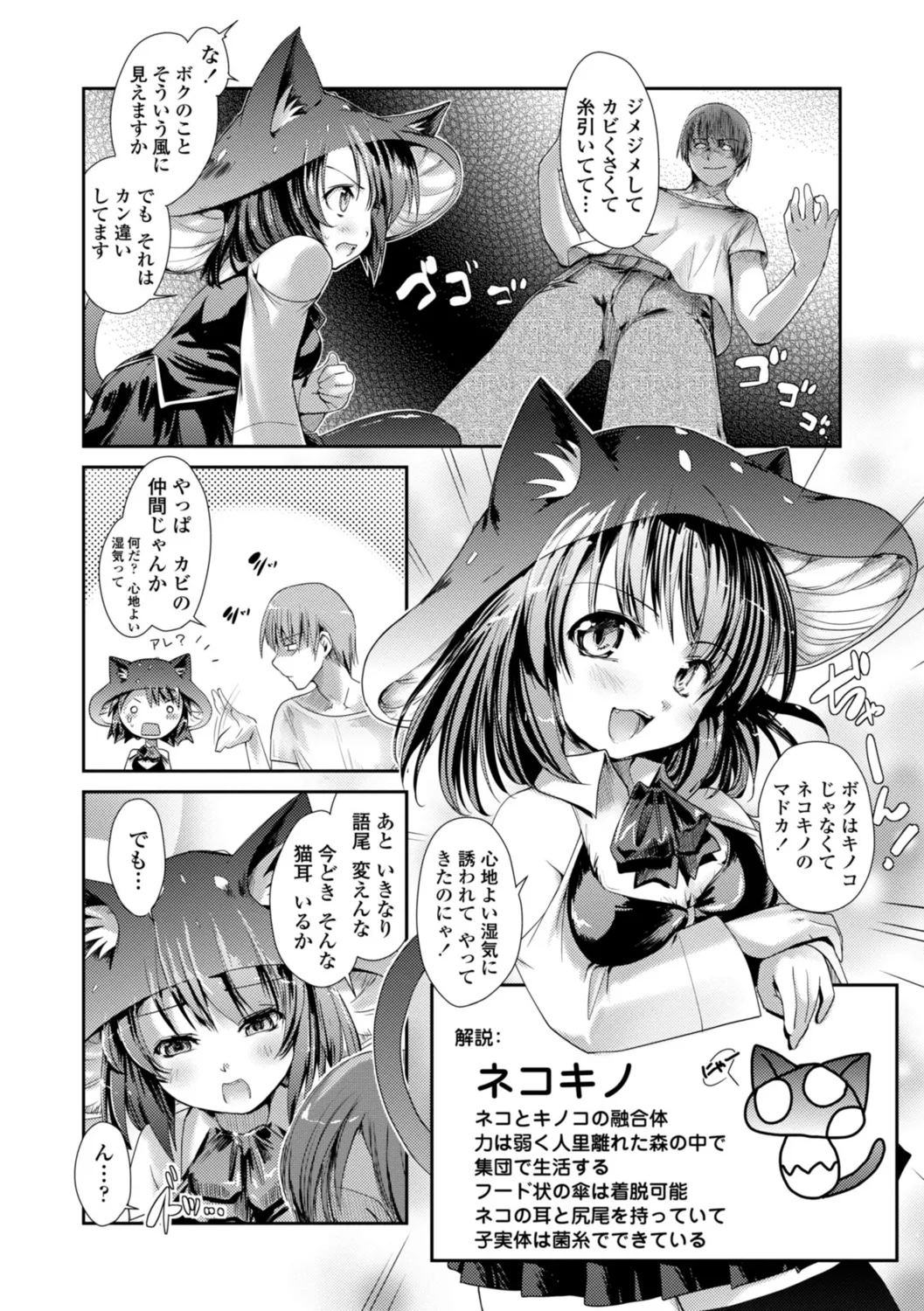 ネコキノと雨の町【デジタル版】 Page.12