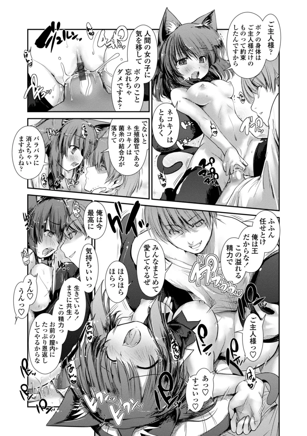 ネコキノと雨の町【デジタル版】 Page.123