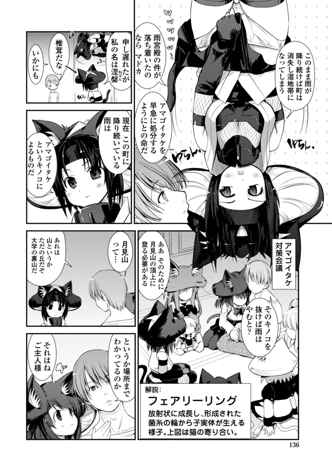 ネコキノと雨の町【デジタル版】 Page.136