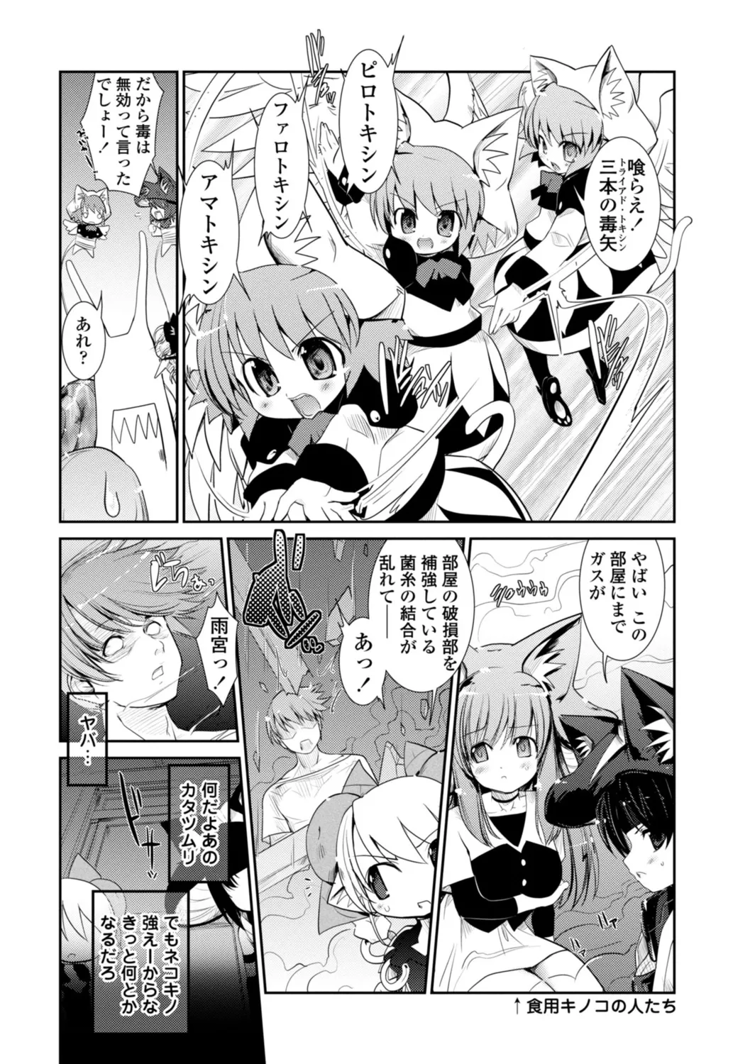 ネコキノと雨の町【デジタル版】 Page.142