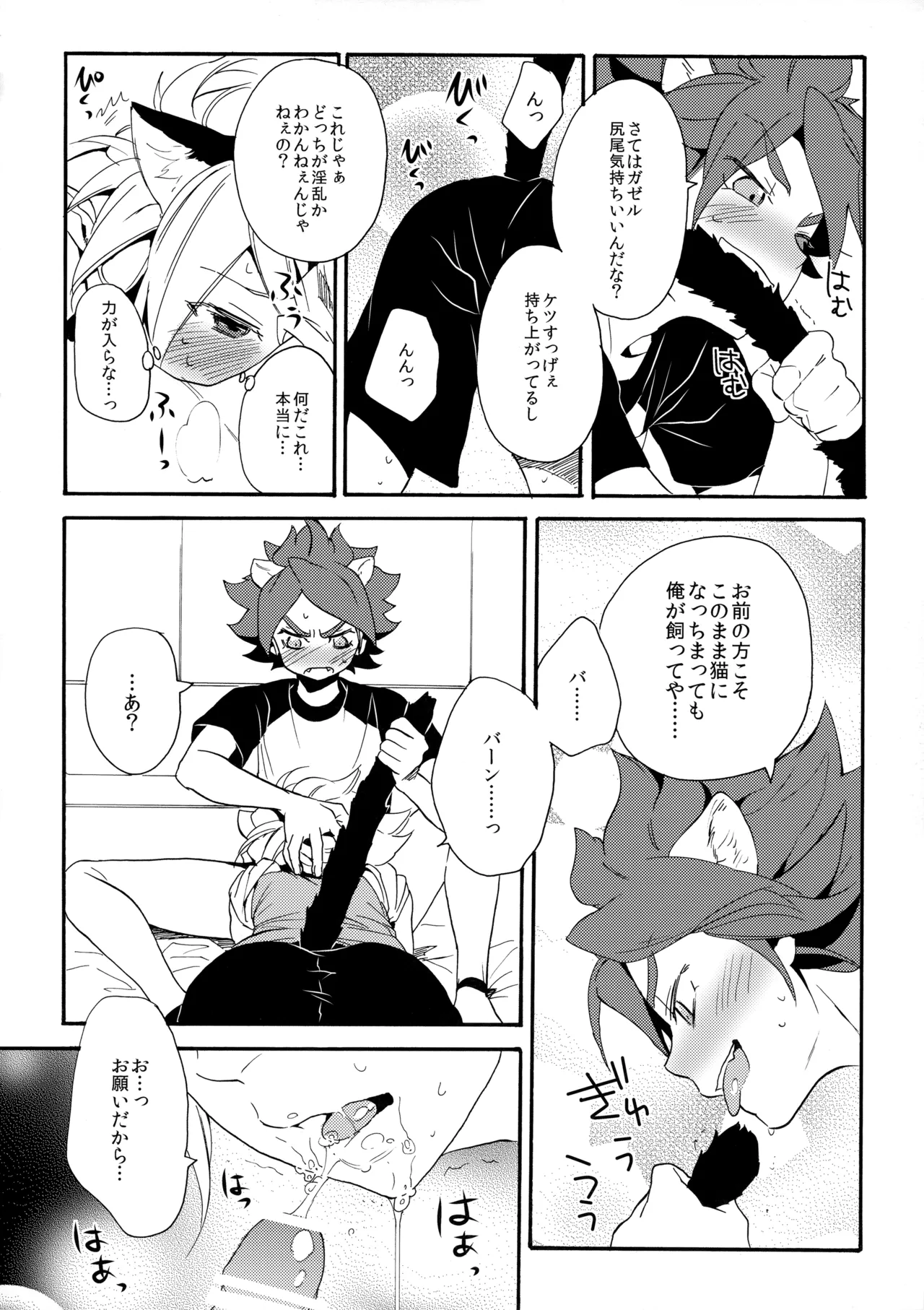 ワンにゃんカオス Page.15