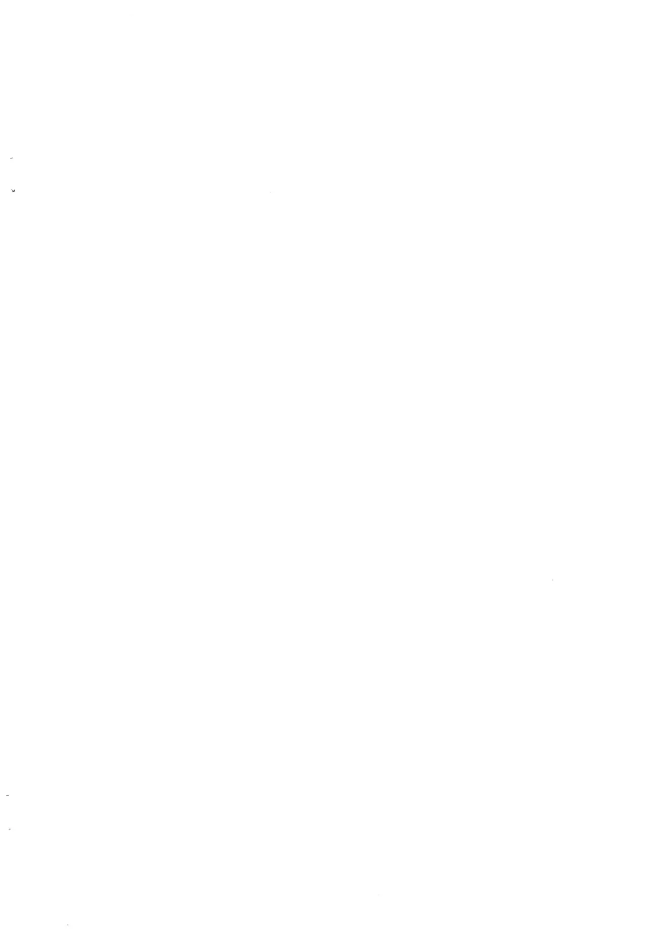 シロとの時間 ~平成最後の・・・編~ Page.2