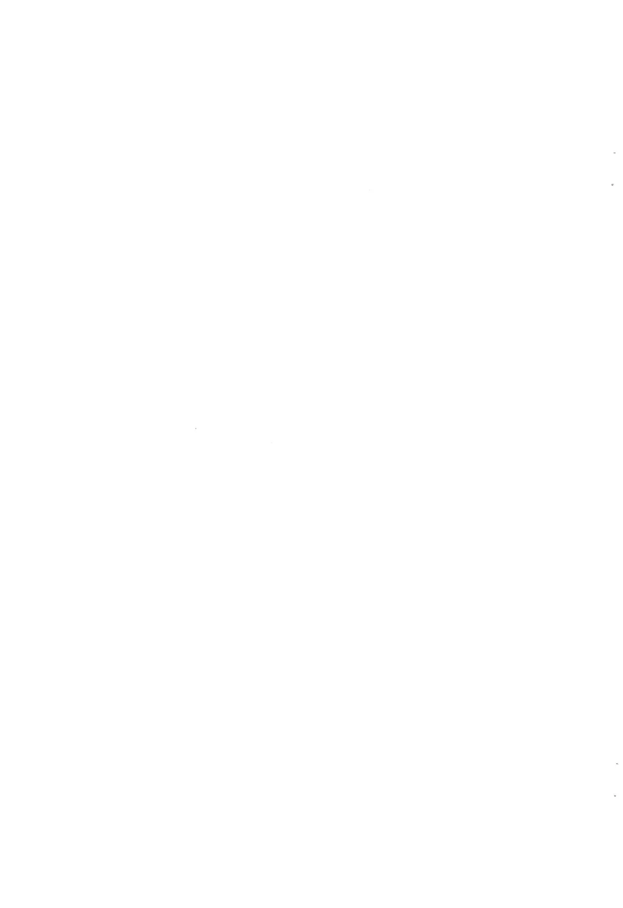 シロとの時間 ~平成最後の・・・編~ Page.3