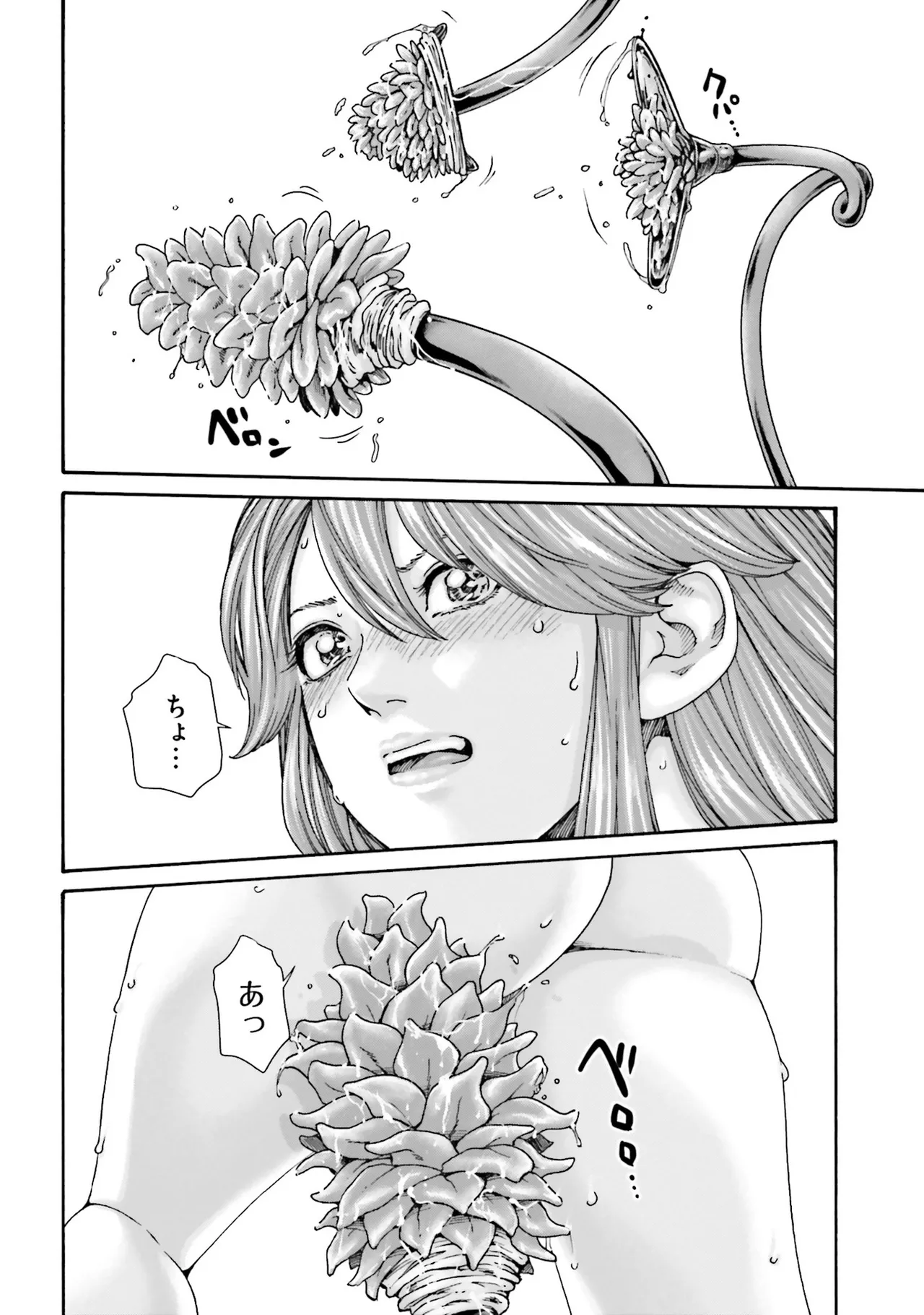 Uterus of the Blackgoat 黒山羊の仔袋 4 Page.13