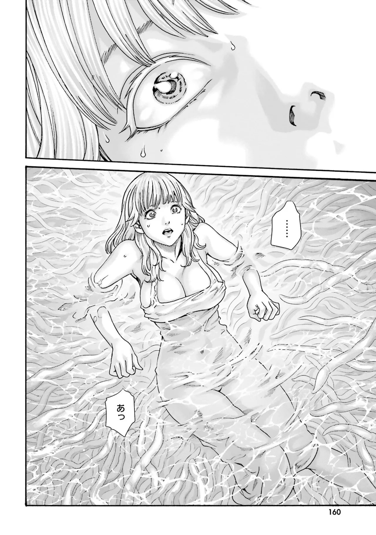 Uterus of the Blackgoat 黒山羊の仔袋 4 Page.163