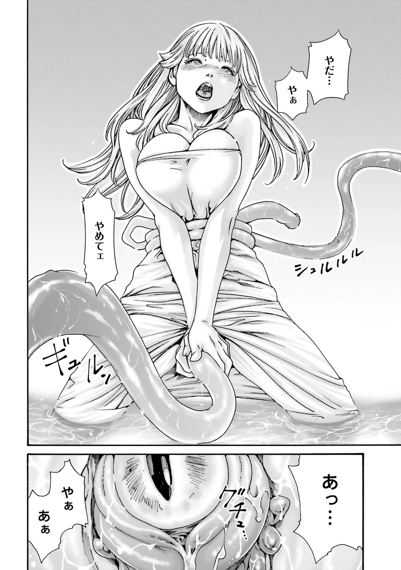 Uterus of the Blackgoat 黒山羊の仔袋 4 Page.165
