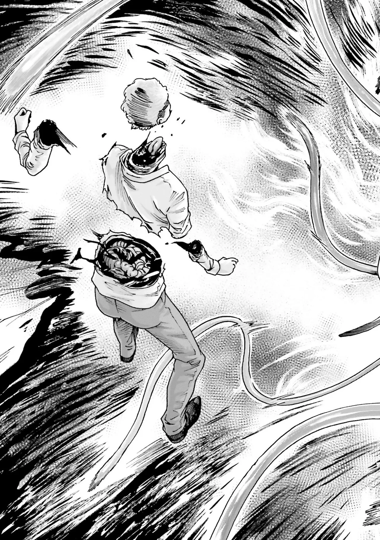 Uterus of the Blackgoat 黒山羊の仔袋 4 Page.174