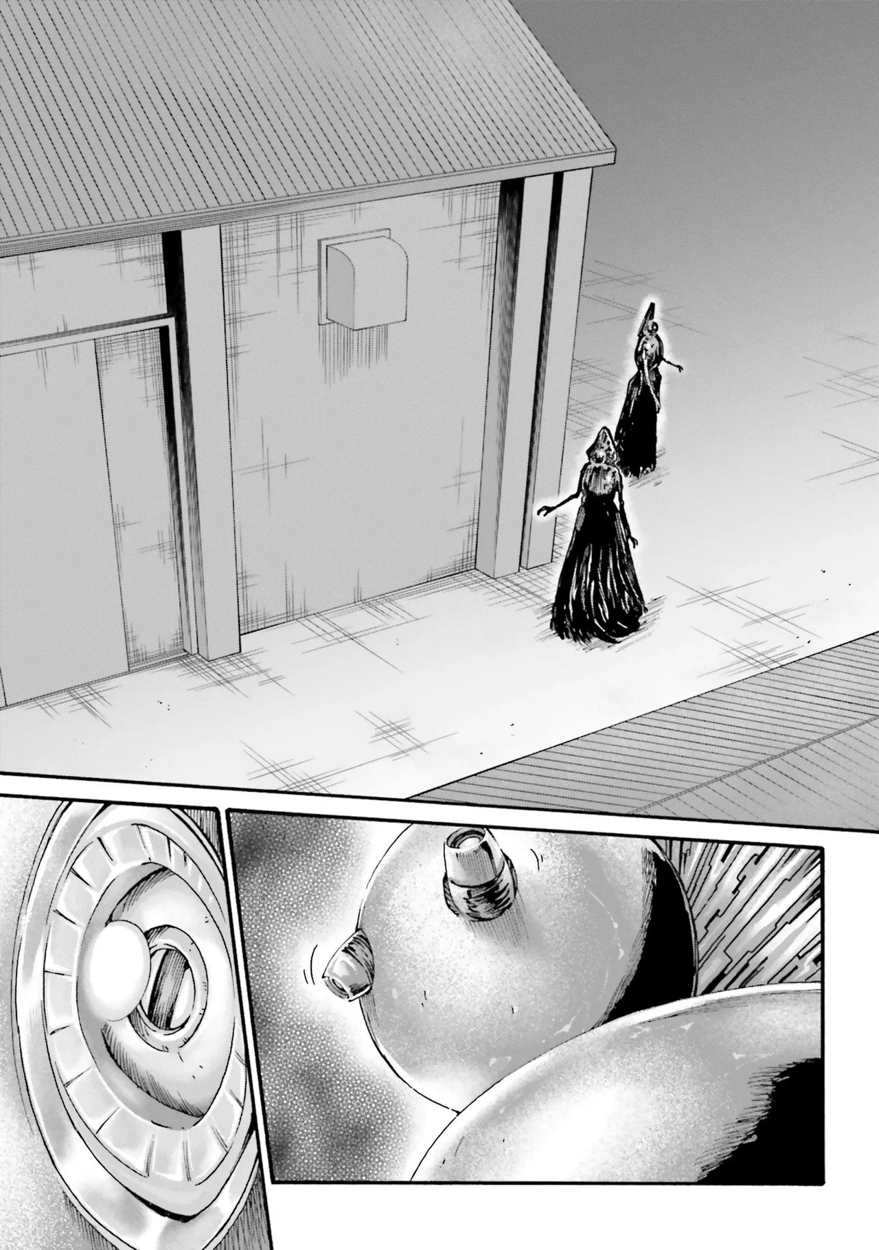 Uterus of the Blackgoat 黒山羊の仔袋 4 Page.46