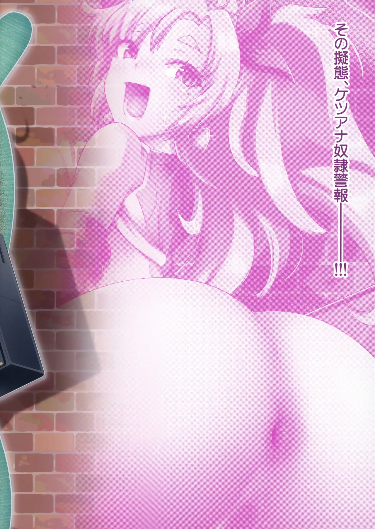 デマラaSSホール Page.26