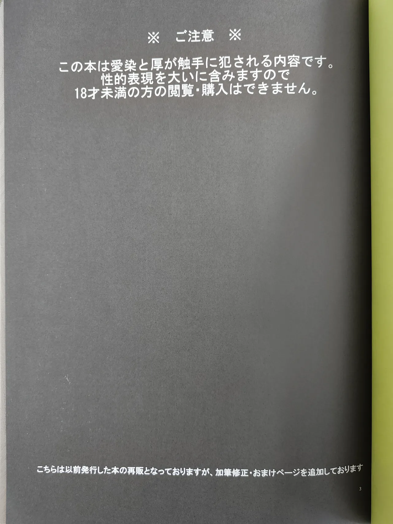 夜行道中 / 忍猫 / Lovely complex Page.2