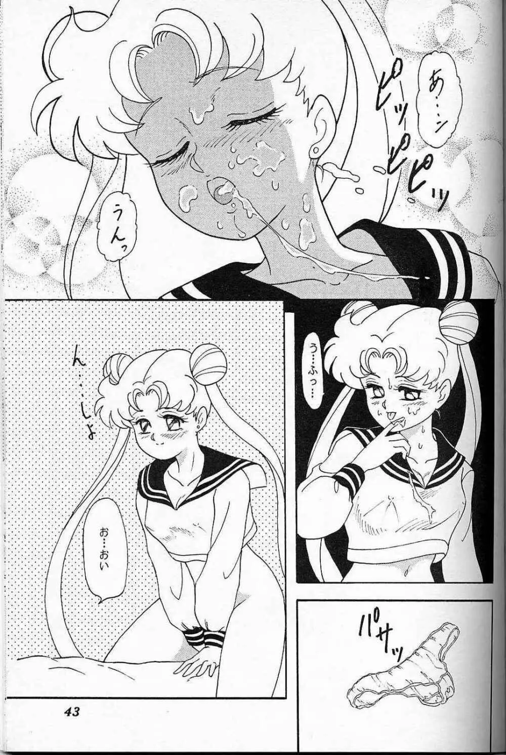 LUNCH BOX 6 USAGI Page.42