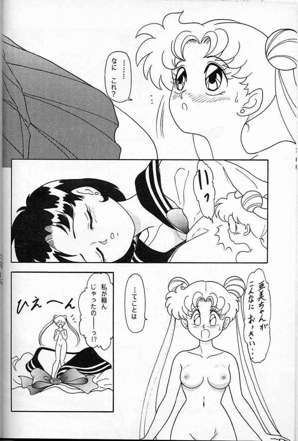 LUNCH BOX 6 USAGI Page.7