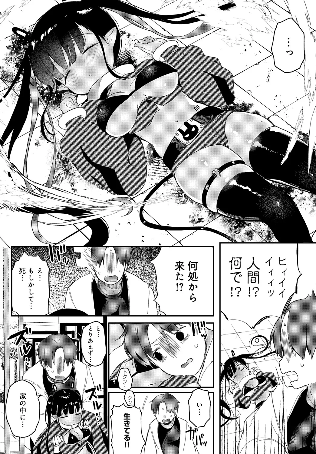 COMIC アンスリウム 2025年6月号 Page.441