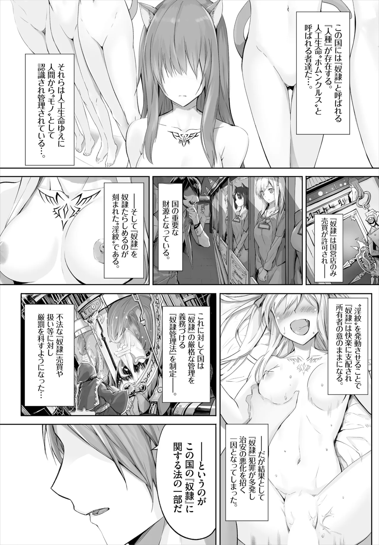 愚か者は猫耳奴隷に依存する~初めての調教生活~ 01-31 Page.2