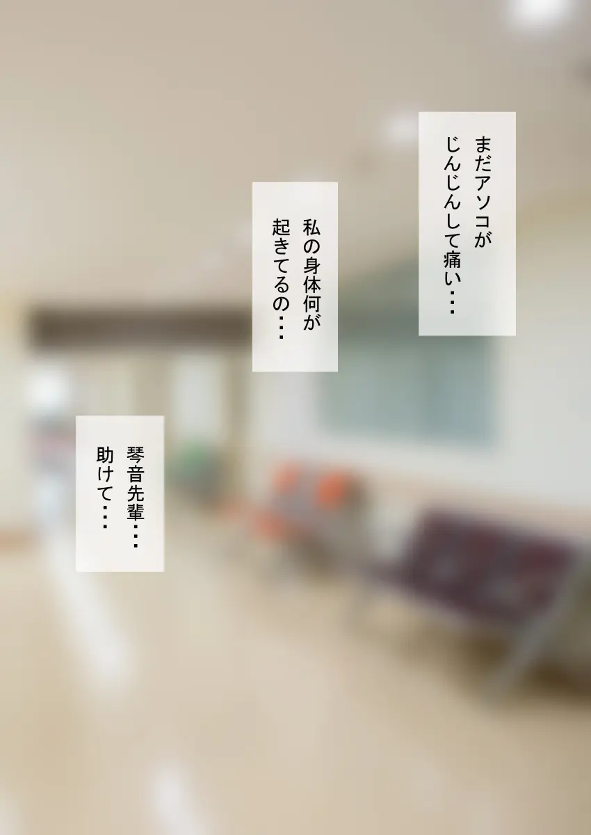 人形化光線銃 抱き枕収集・愛玩編 Page.147
