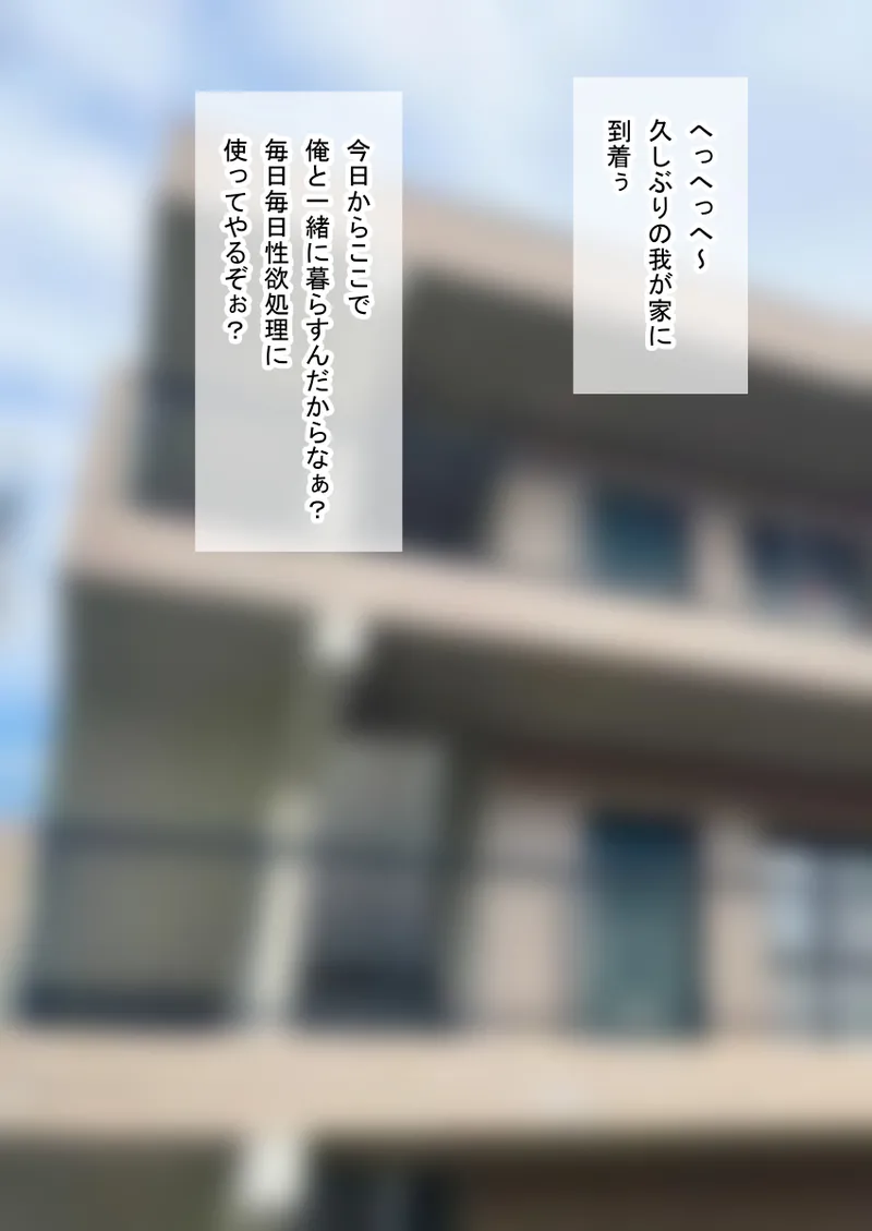 人形化光線銃 抱き枕収集・愛玩編 Page.24