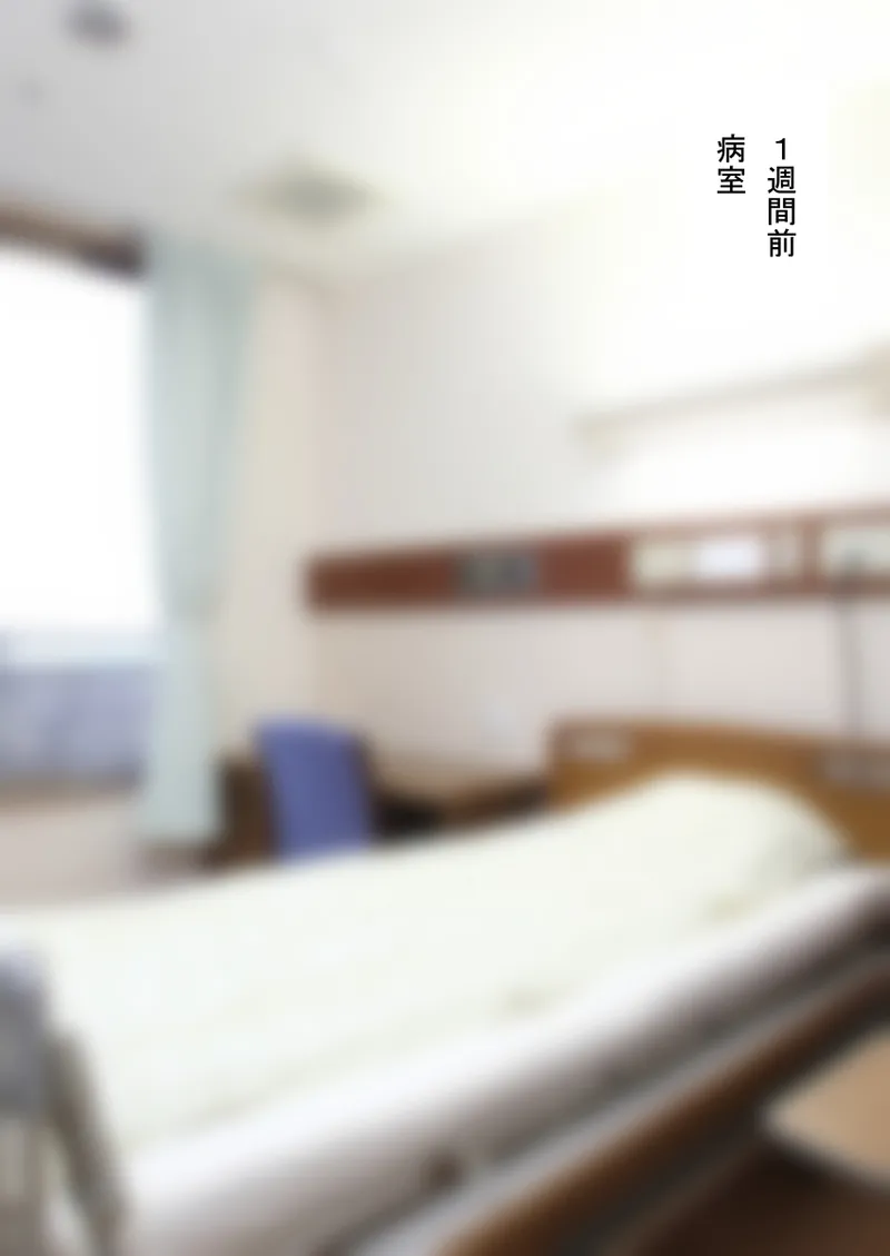 人形化光線銃 抱き枕収集・愛玩編 Page.39