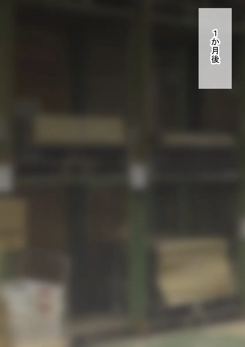 人形化光線銃 抱き枕収集・愛玩編 Page.91